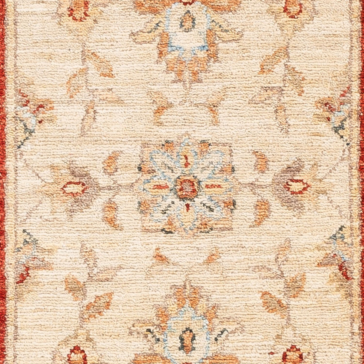 Runner Ziegler Carpet - 150 x 50 cm - beige