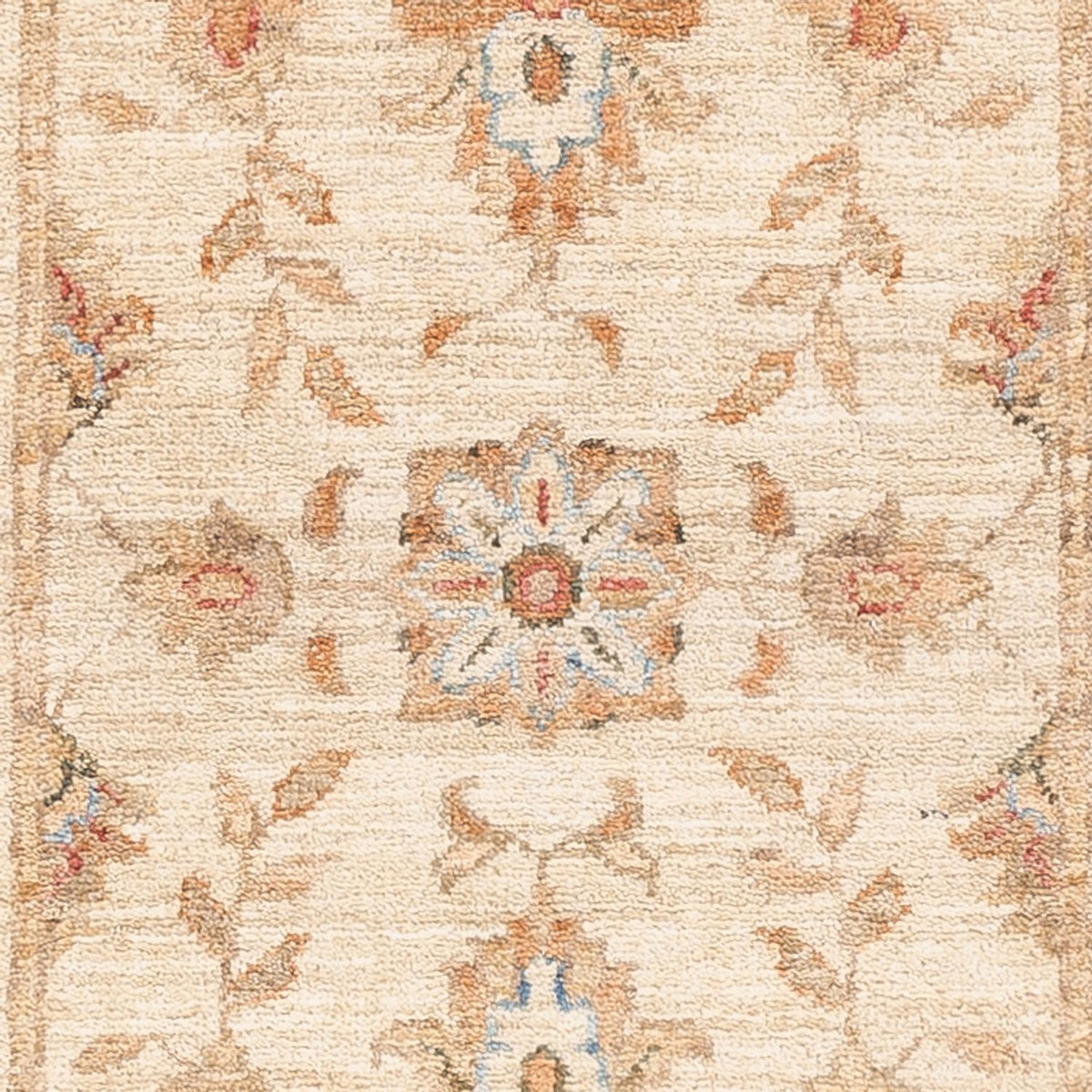 Runner Ziegler Carpet - 147 x 52 cm - beige