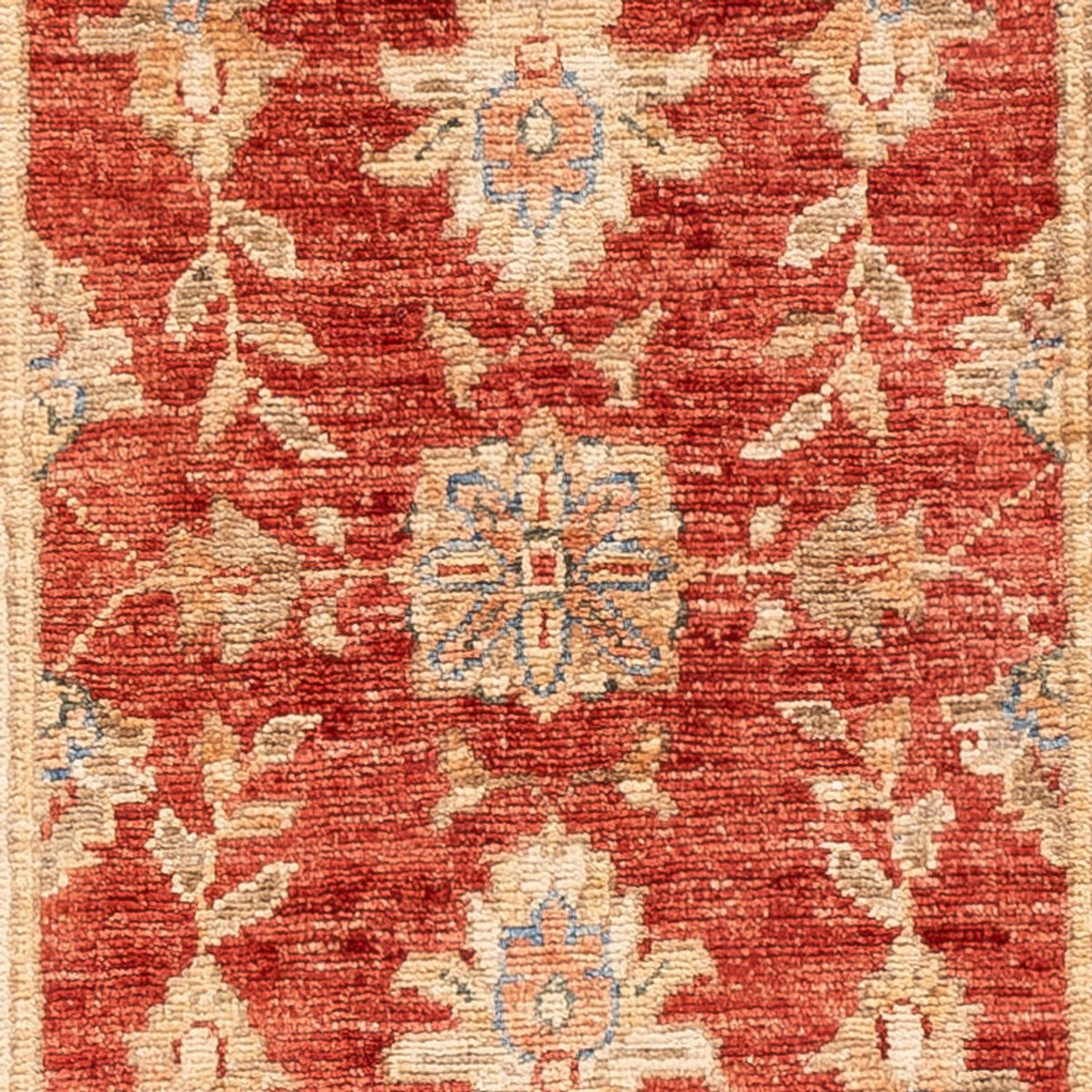 Runner Ziegler Carpet - 147 x 51 cm - röd