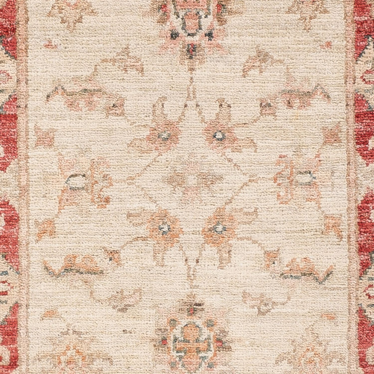 Runner Ziegler Carpet - 170 x 51 cm - beige