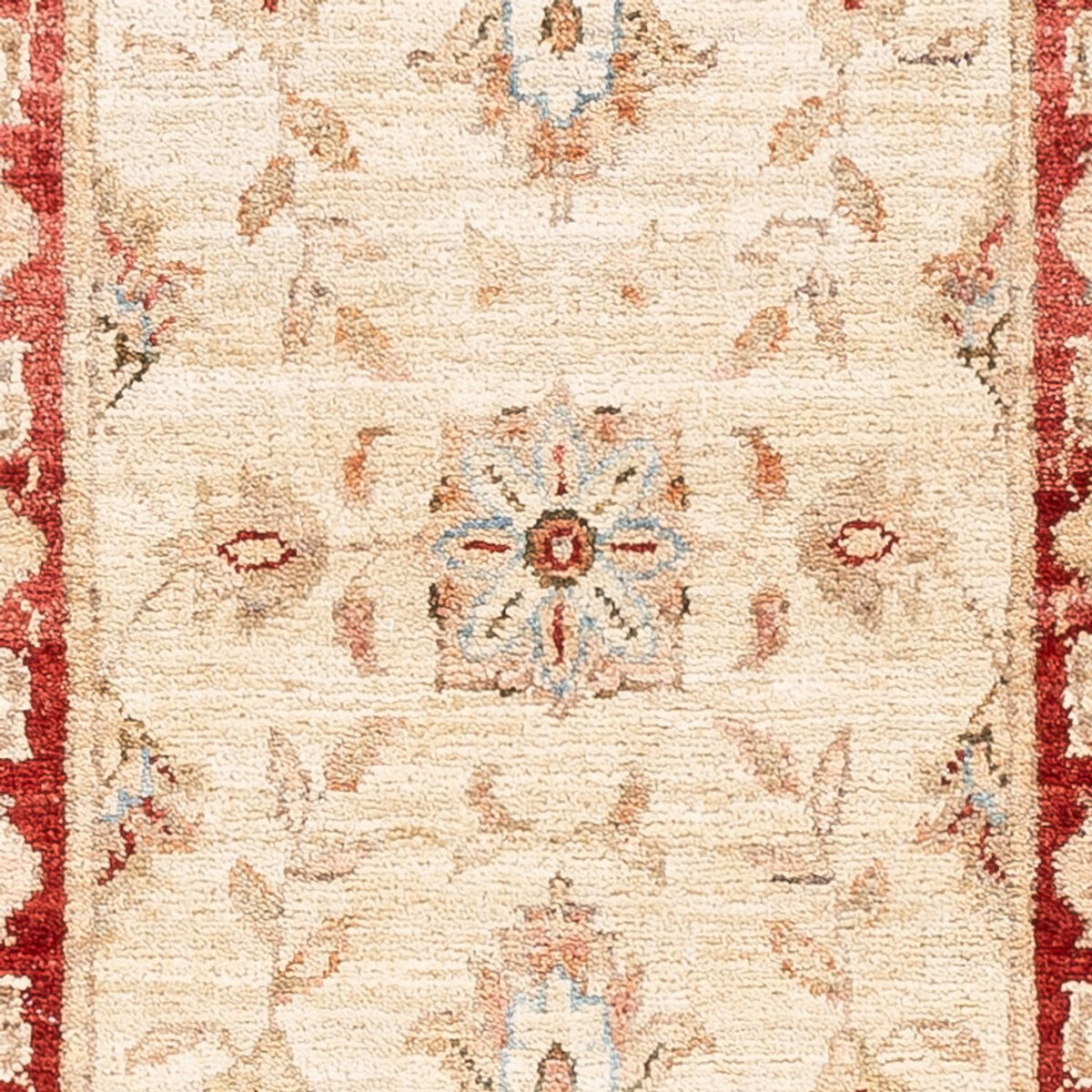 Runner Ziegler Carpet - 147 x 48 cm - beige
