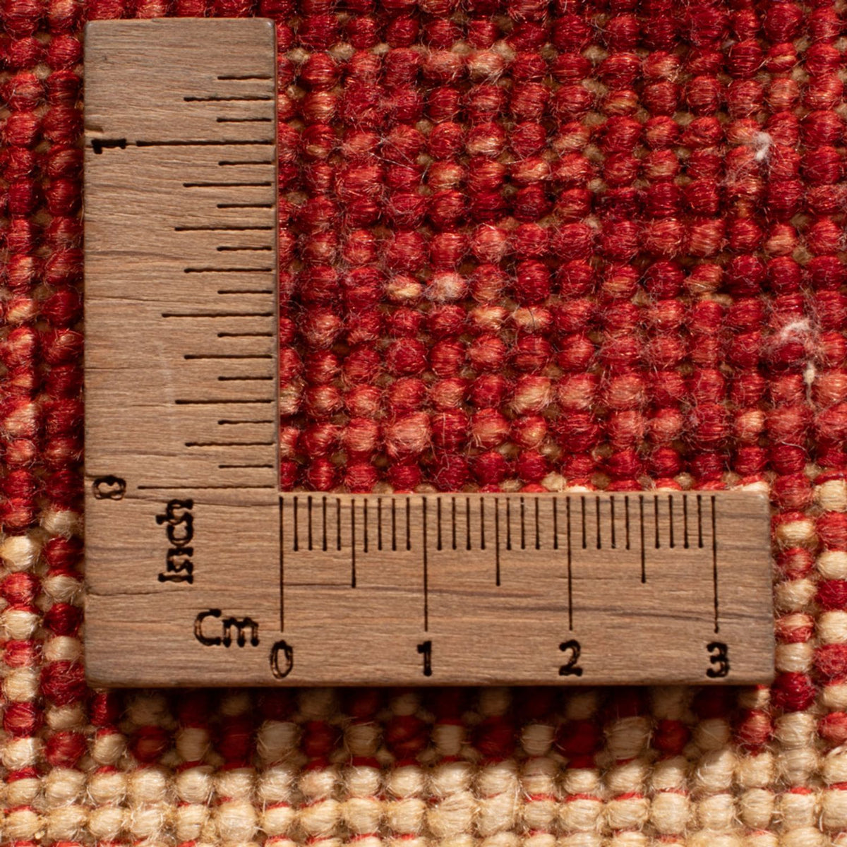 Runner Ziegler Carpet - Ariana - 248 x 75 cm - flerfärgad