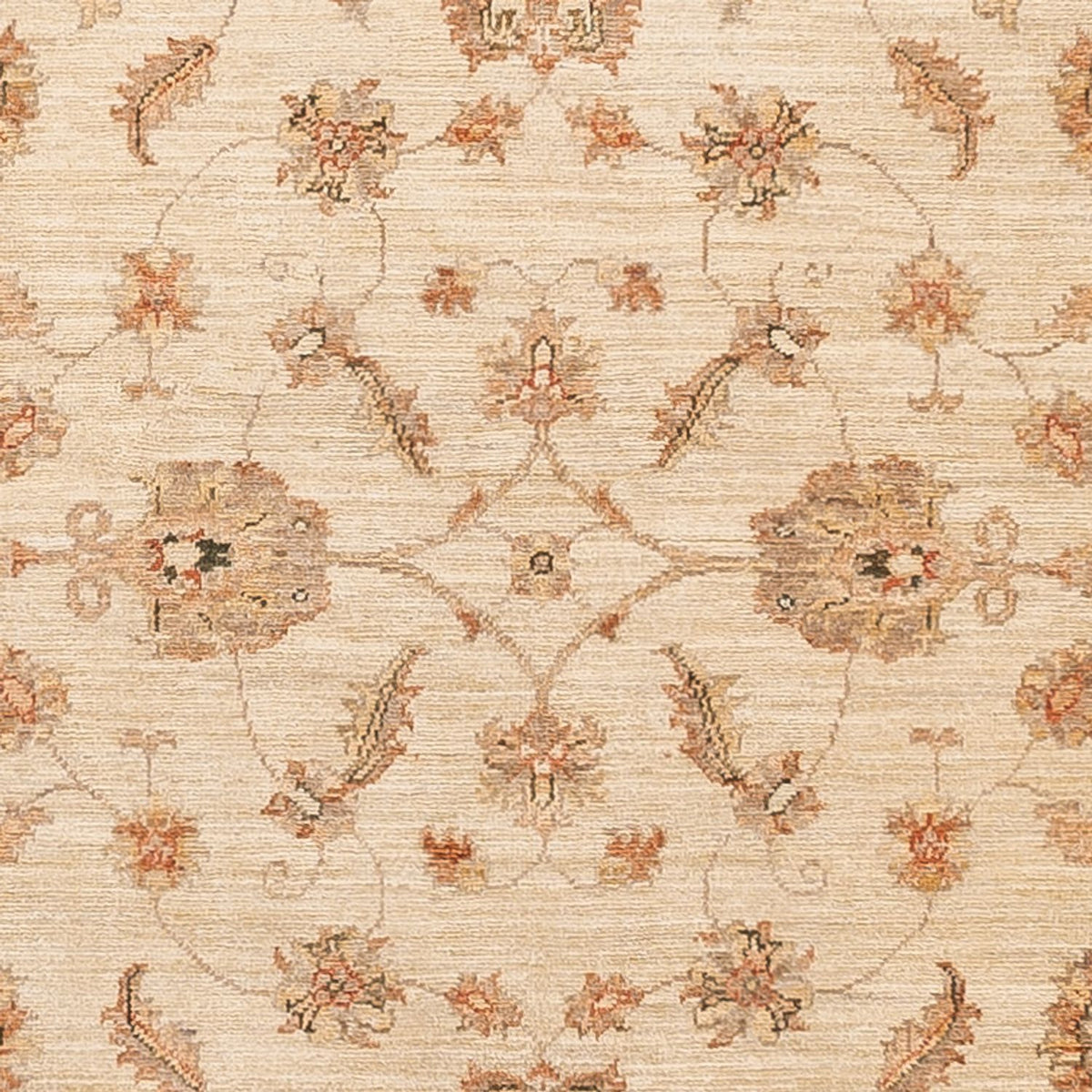Runner Ziegler Carpet - 297 x 122 cm - beige