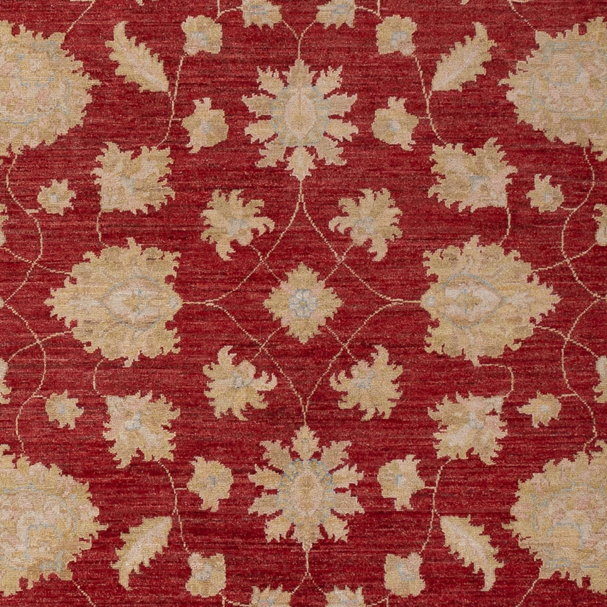 Ziegler Carpet - 299 x 206 cm - mörkröd