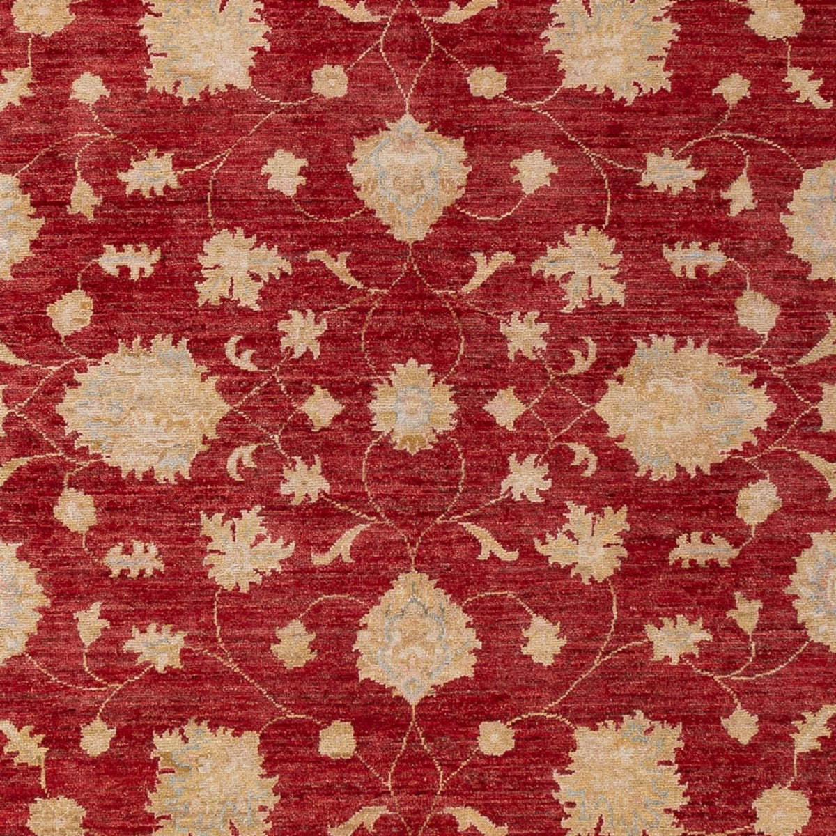 Ziegler Carpet - 297 x 209 cm - mörkröd