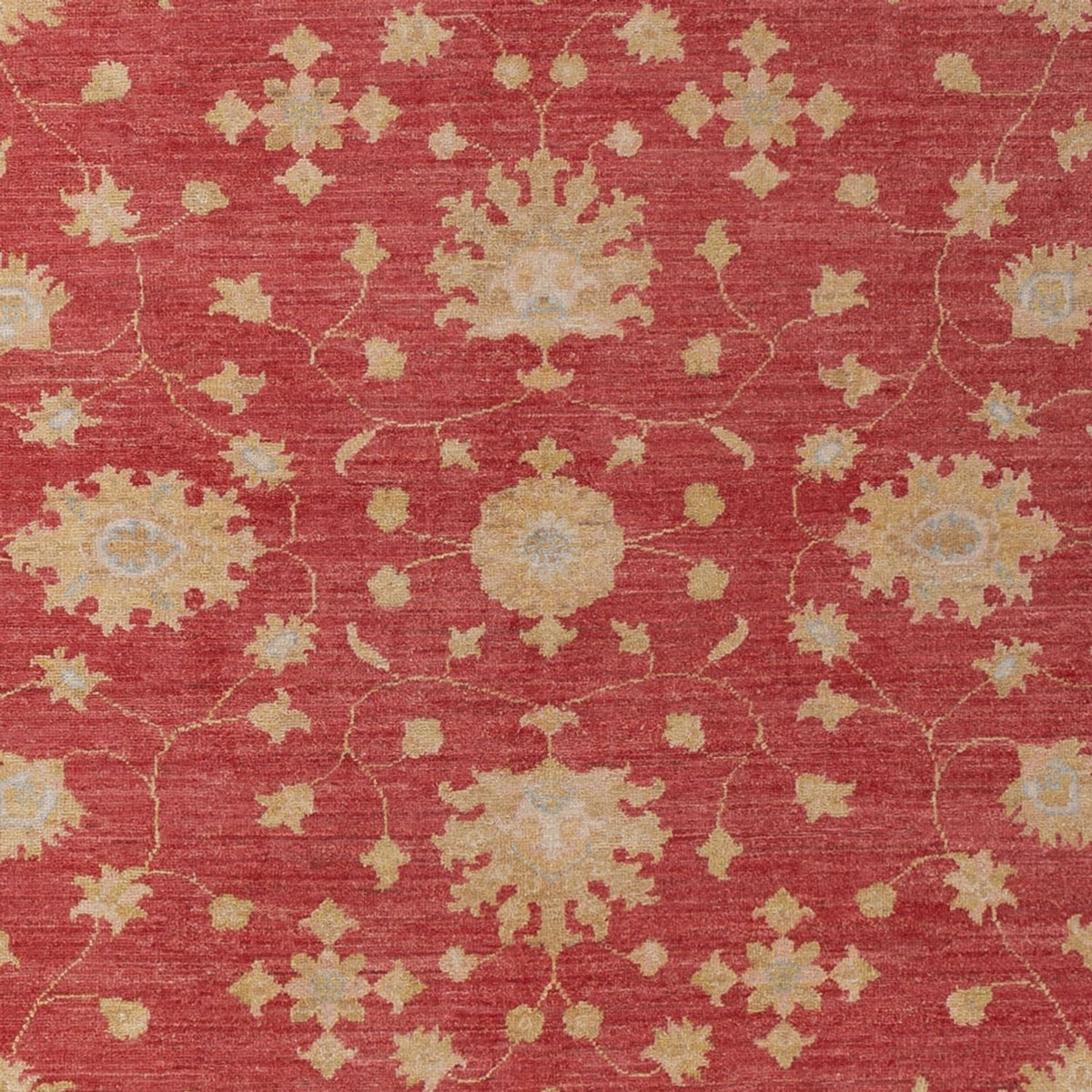 Ziegler Carpet - 296 x 203 cm - mörkröd