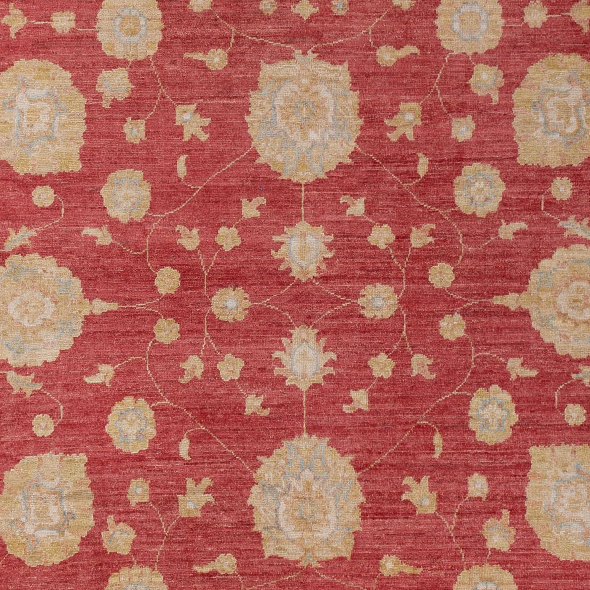 Ziegler Carpet - 320 x 207 cm - mörkröd