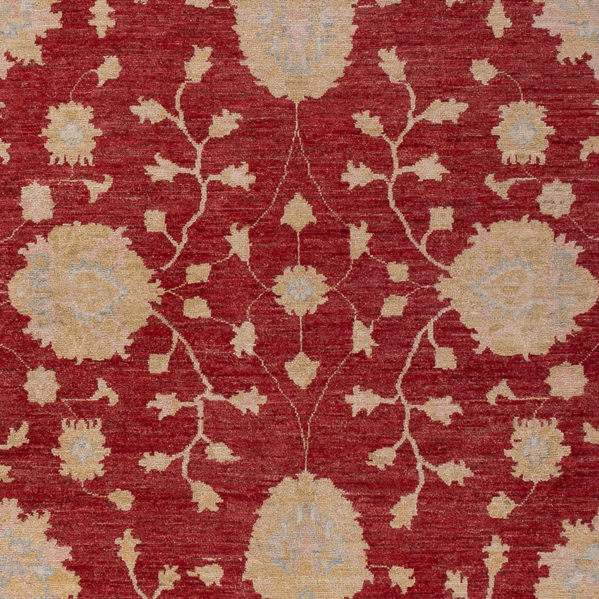 Ziegler Carpet - 300 x 205 cm - mörkröd