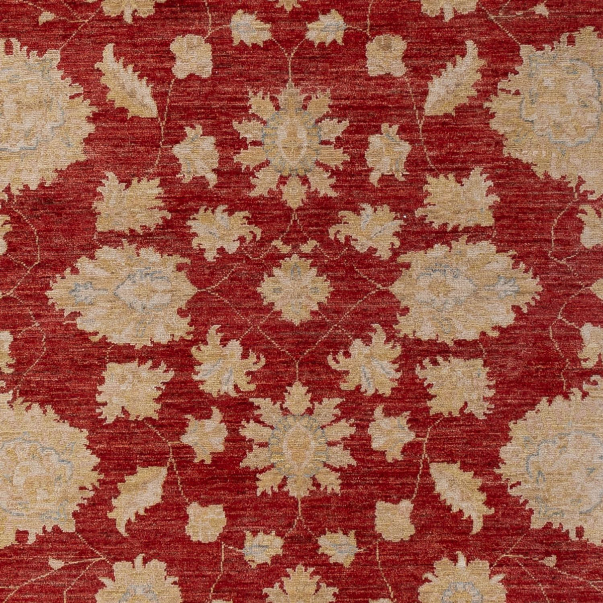 Ziegler Carpet - 295 x 201 cm - mörkröd