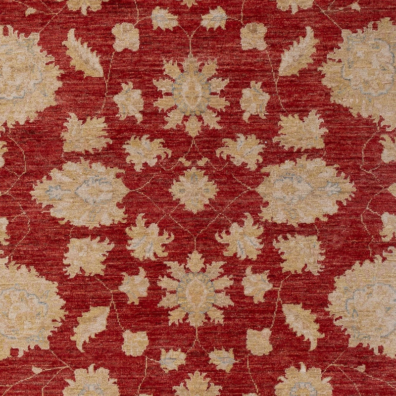 Ziegler Carpet - 295 x 201 cm - mörkröd