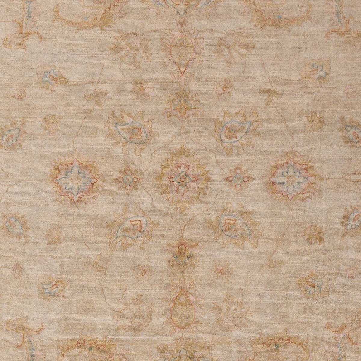 Ziegler Carpet - 304 x 206 cm - beige