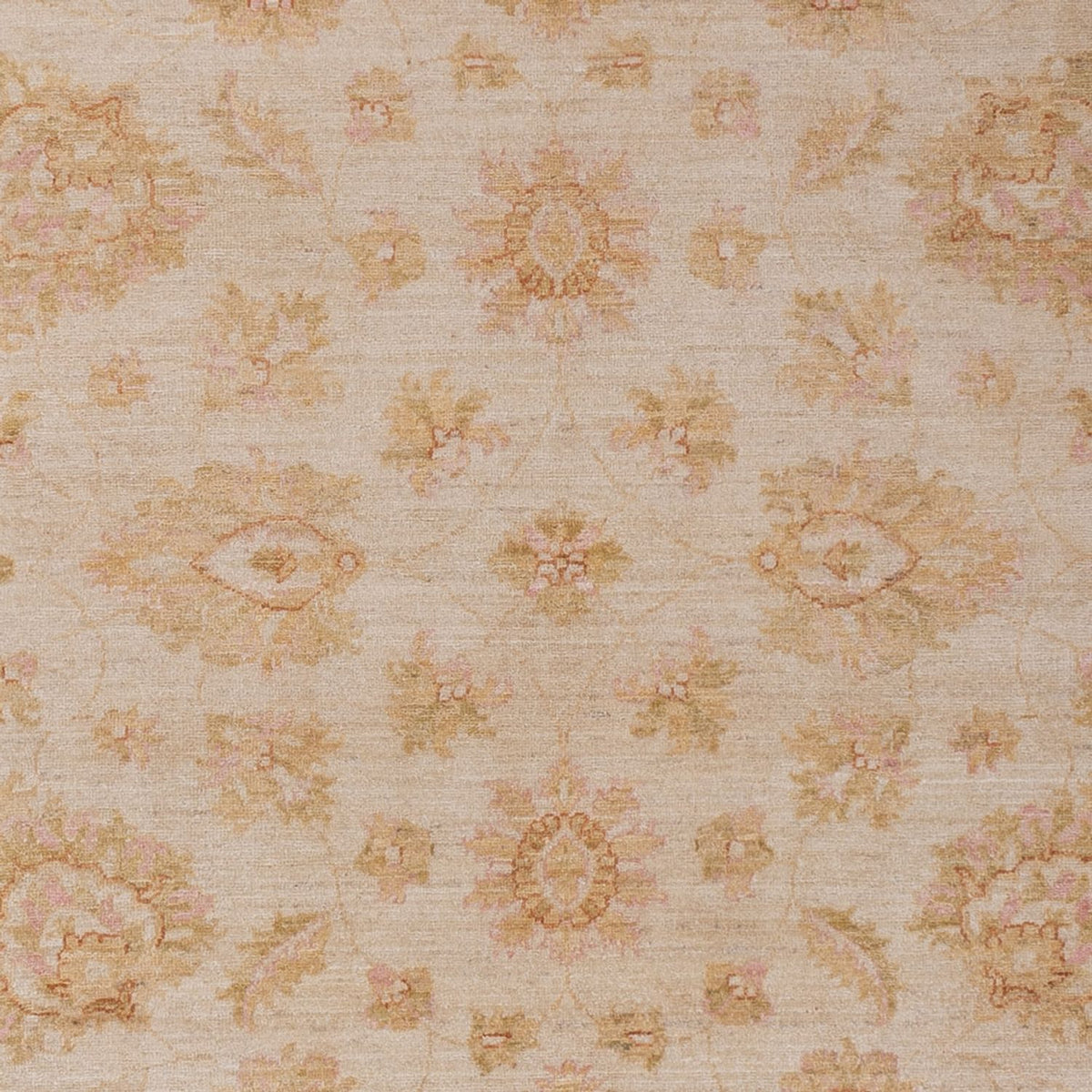 Ziegler Carpet - 286 x 204 cm - beige