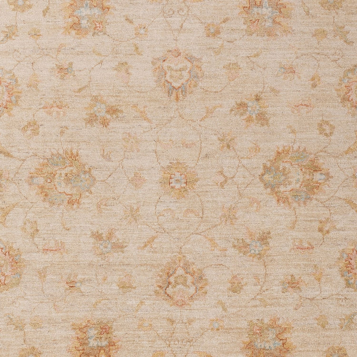 Ziegler Carpet - 293 x 204 cm - beige