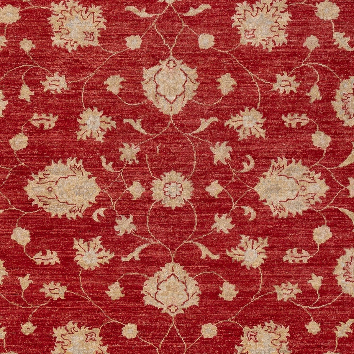 Ziegler Carpet - 298 x 210 cm - röd