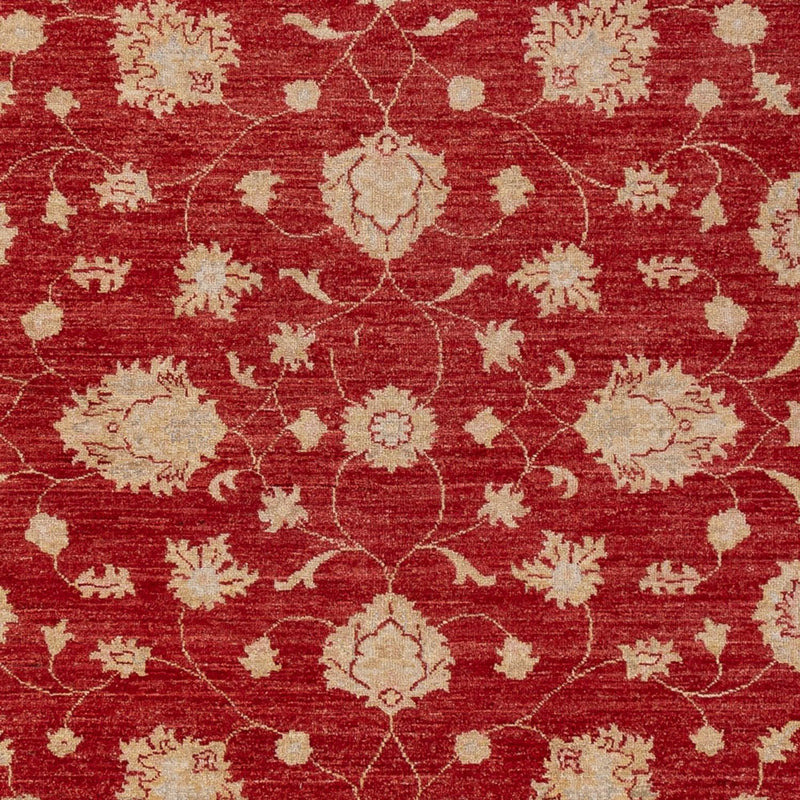 Ziegler Carpet - 298 x 210 cm - röd
