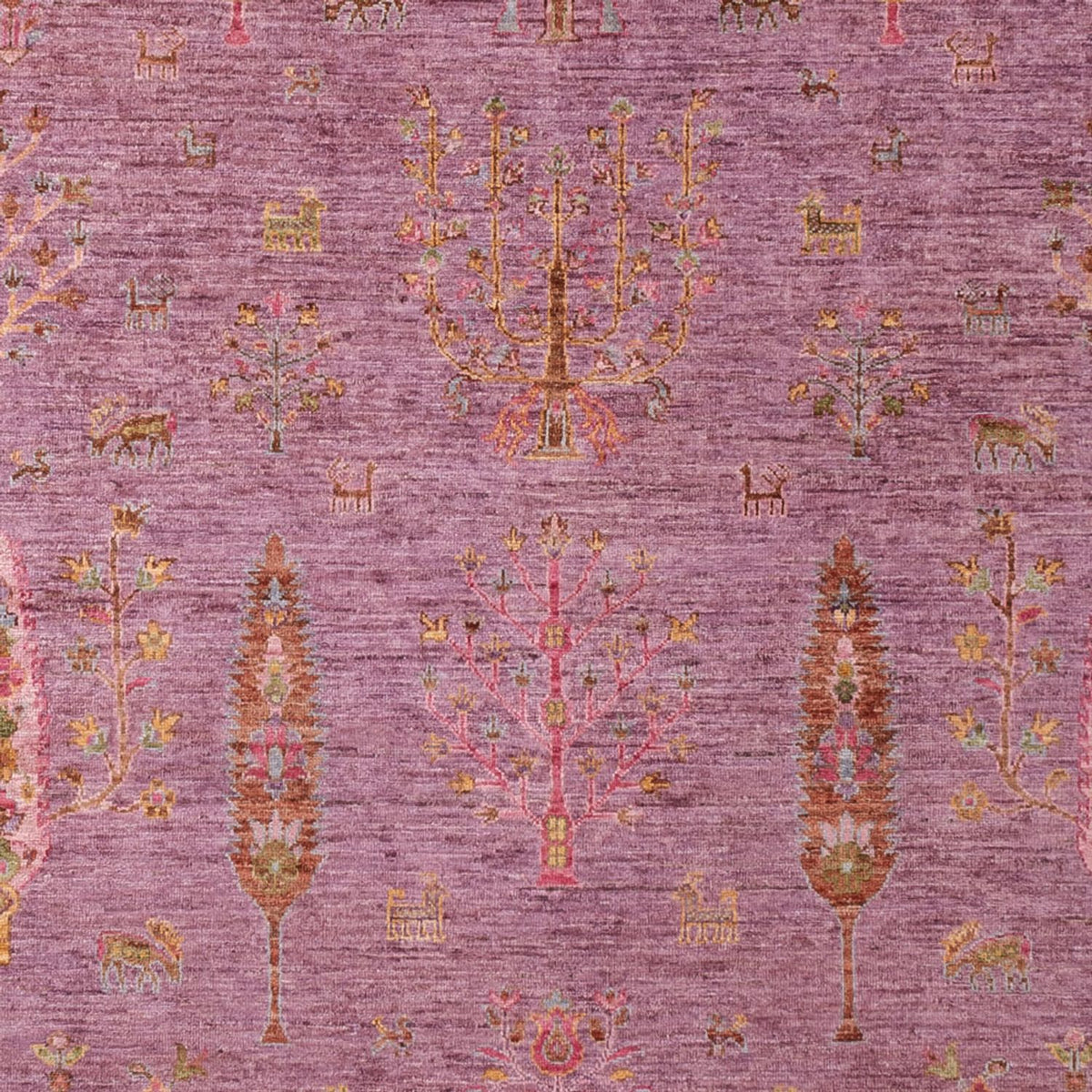 Ziegler Carpet - Ariana - 298 x 208 cm - syren