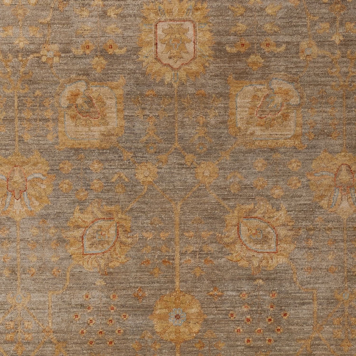 Ziegler Carpet - Modern - 300 x 204 cm - mörk beige