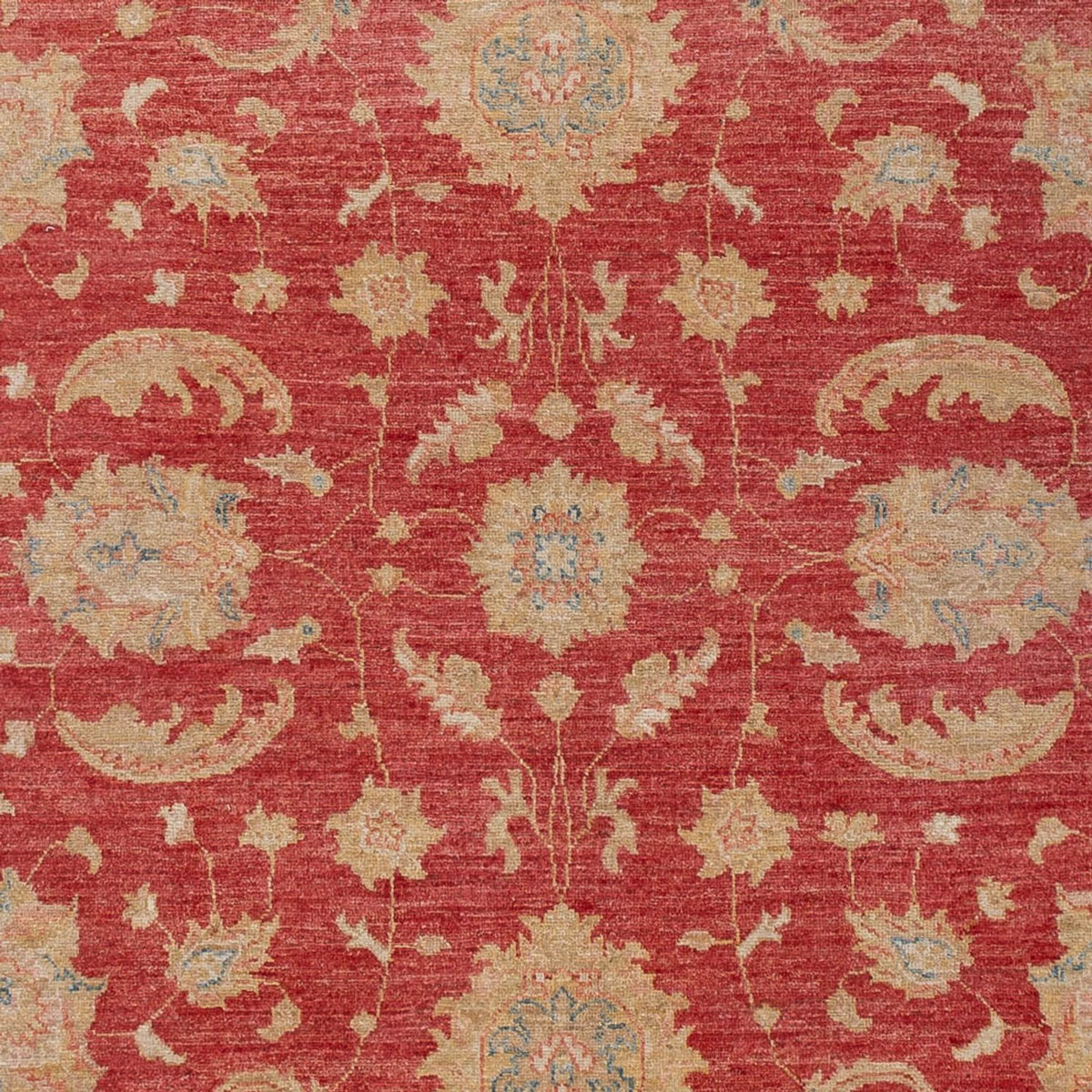 Ziegler Carpet - 297 x 202 cm - röd