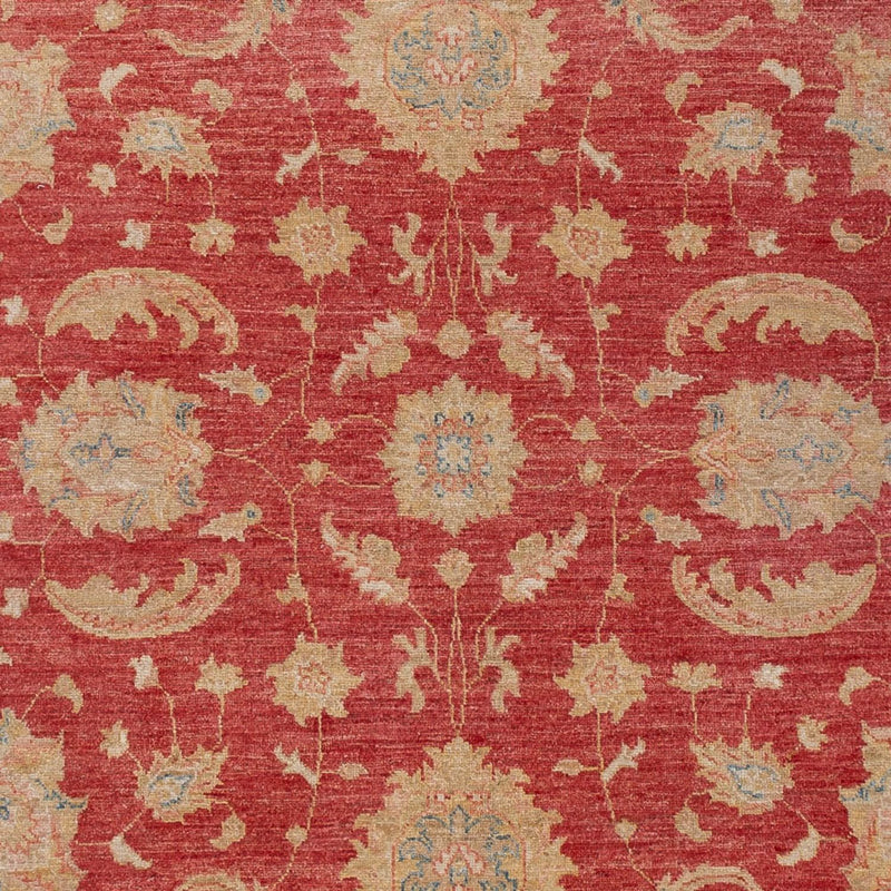 Ziegler Carpet - 297 x 202 cm - röd