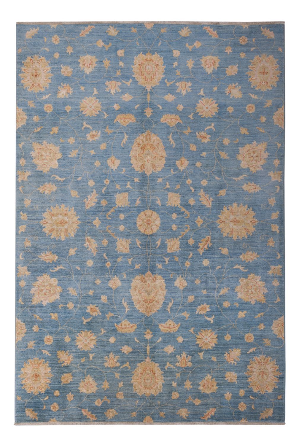Ziegler Carpet - Modern - 300 x 206 cm - blå