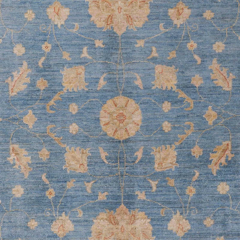 Ziegler Carpet - Modern - 300 x 206 cm - blå