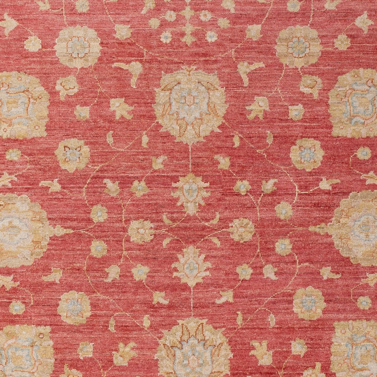 Ziegler Carpet - 293 x 205 cm - röd