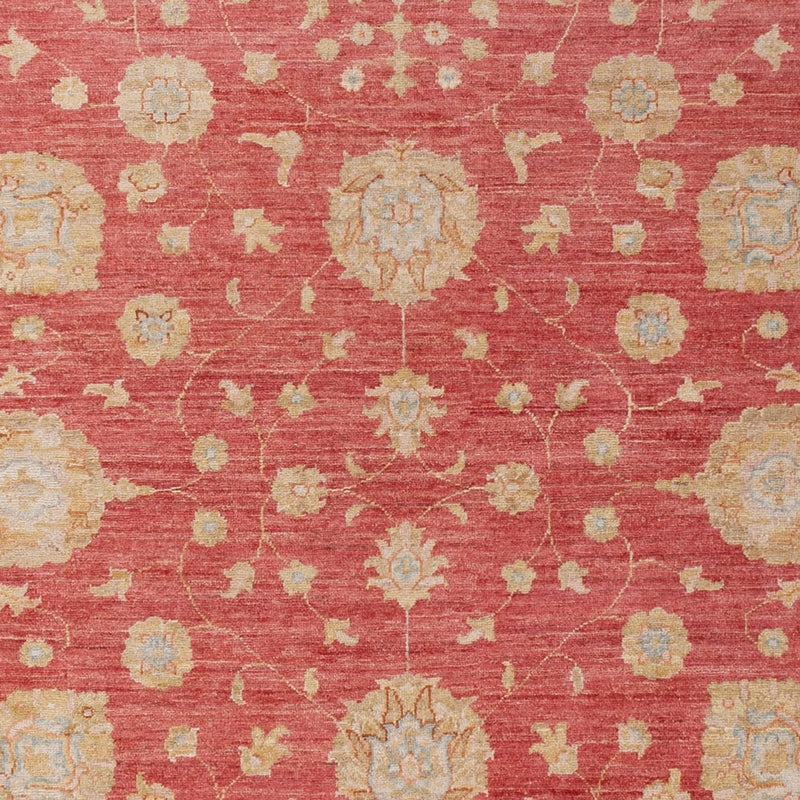 Ziegler Carpet - 293 x 205 cm - röd