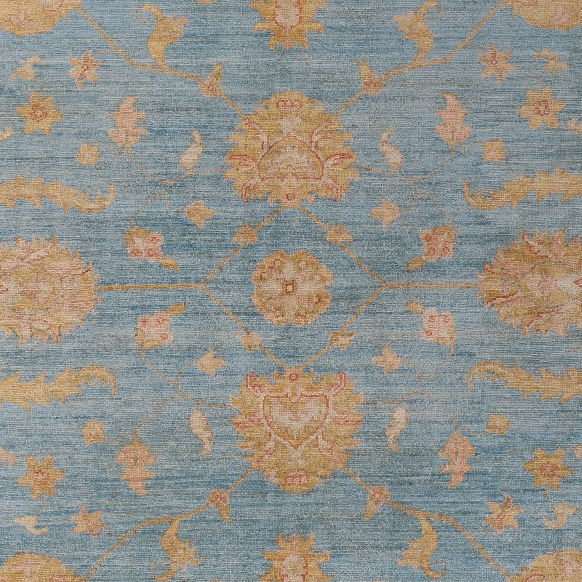 Ziegler Carpet - Modern - 300 x 207 cm - blå