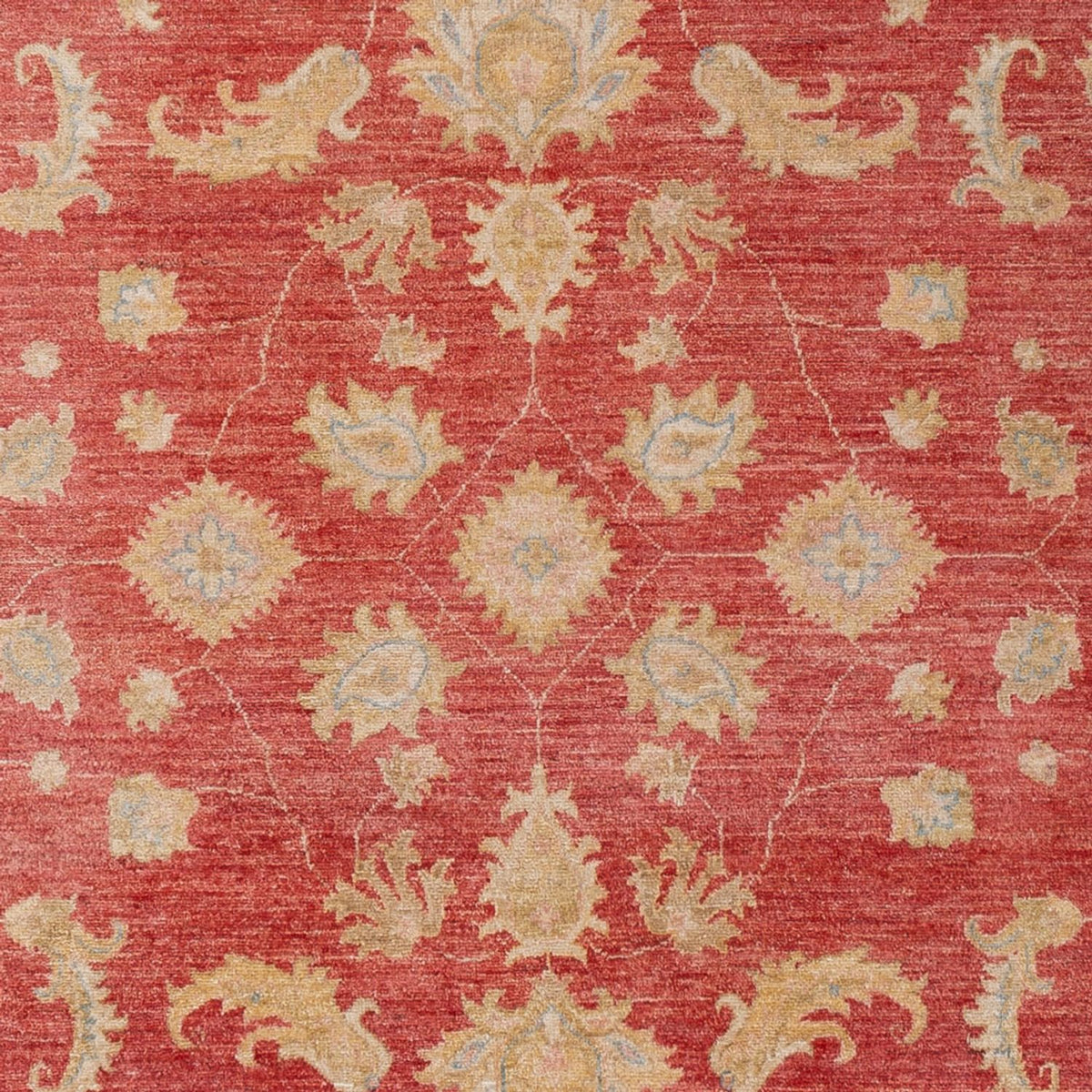 Ziegler Carpet - 303 x 210 cm - röd
