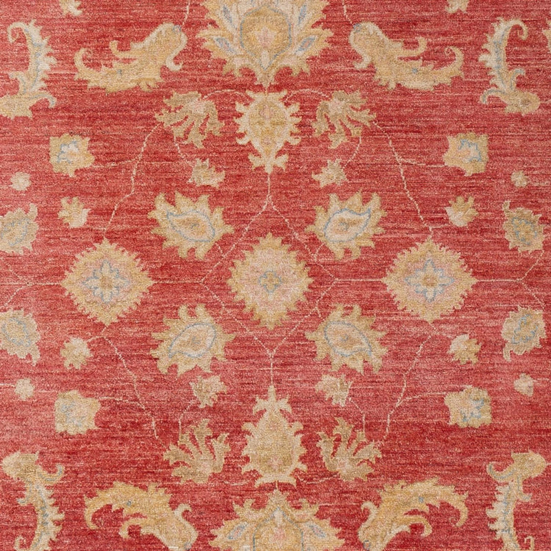 Ziegler Carpet - 303 x 210 cm - röd