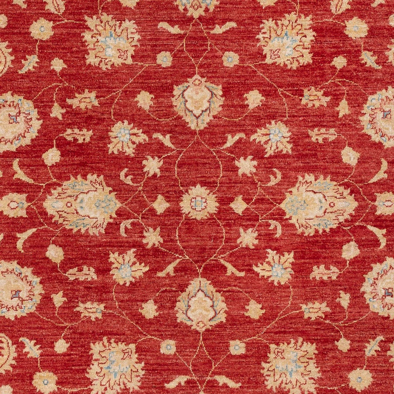 Ziegler Carpet - 295 x 204 cm - röd