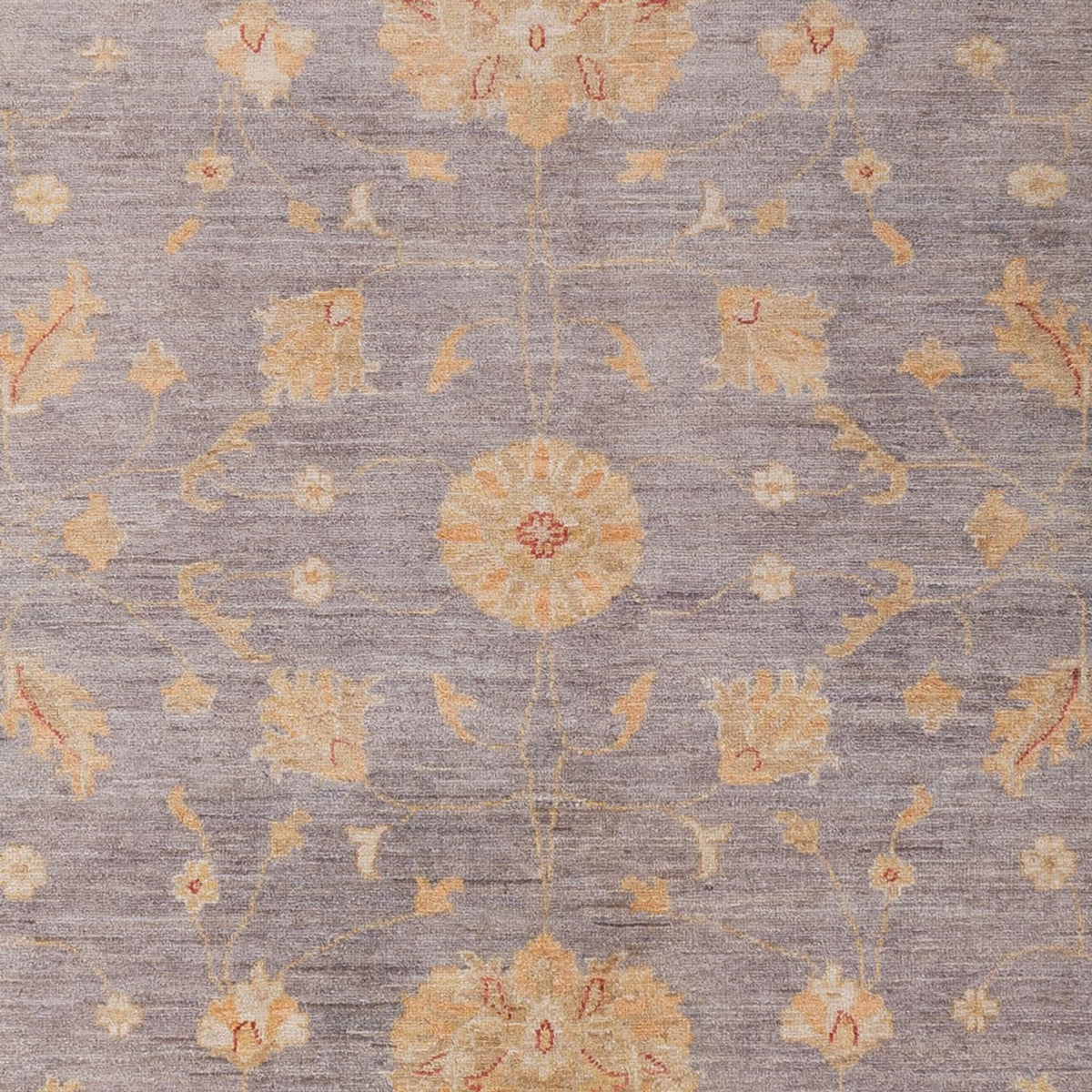 Ziegler Carpet - Modern - 296 x 206 cm - mörkgrå