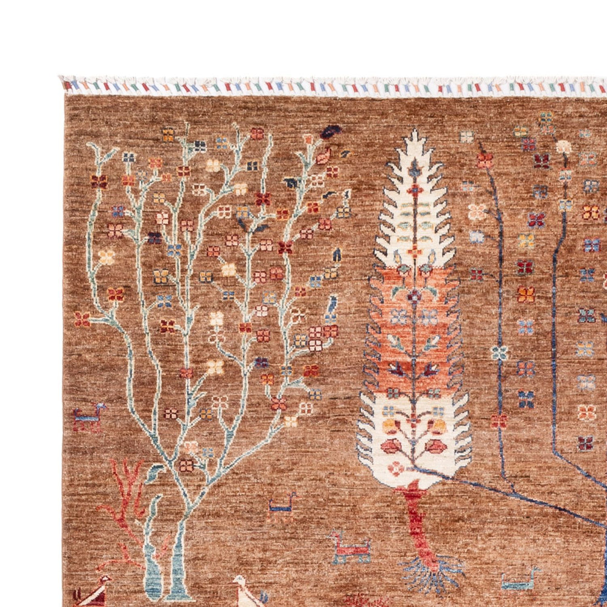 Ziegler Carpet - Ariana - 293 x 205 cm - mörk beige