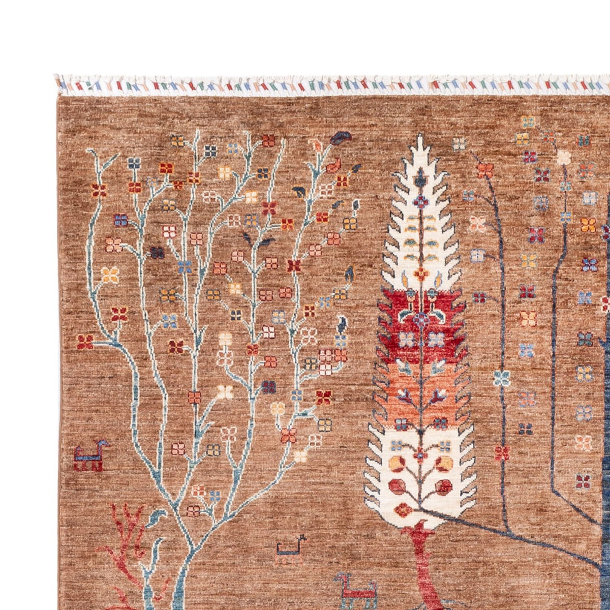 Ziegler Carpet - Ariana - 288 x 204 cm - mörk beige