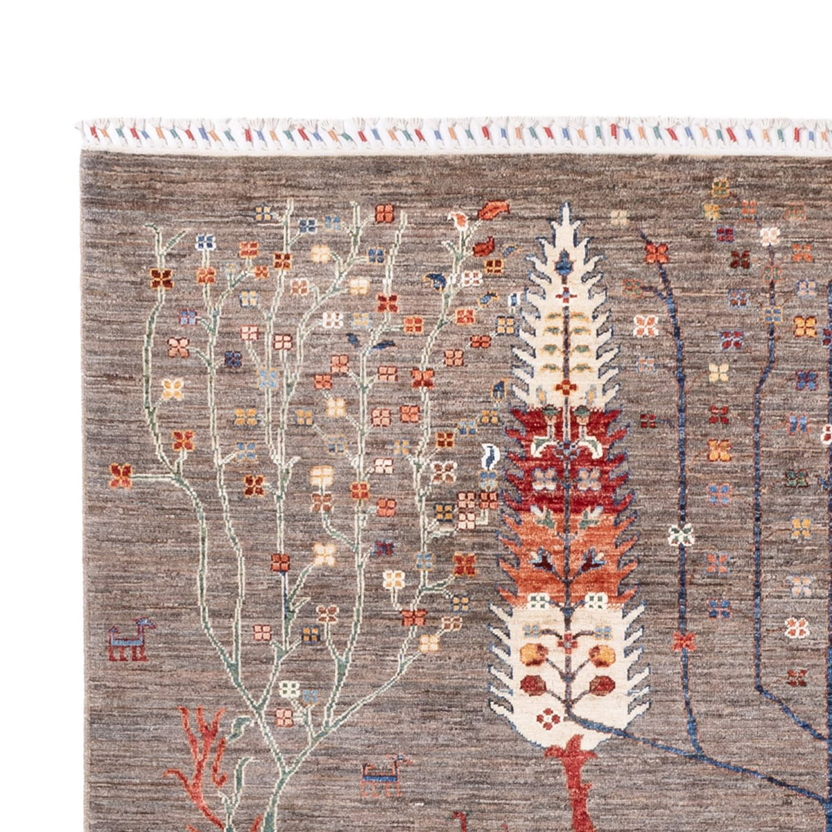 Ziegler Carpet - Ariana - 298 x 200 cm - mörk beige