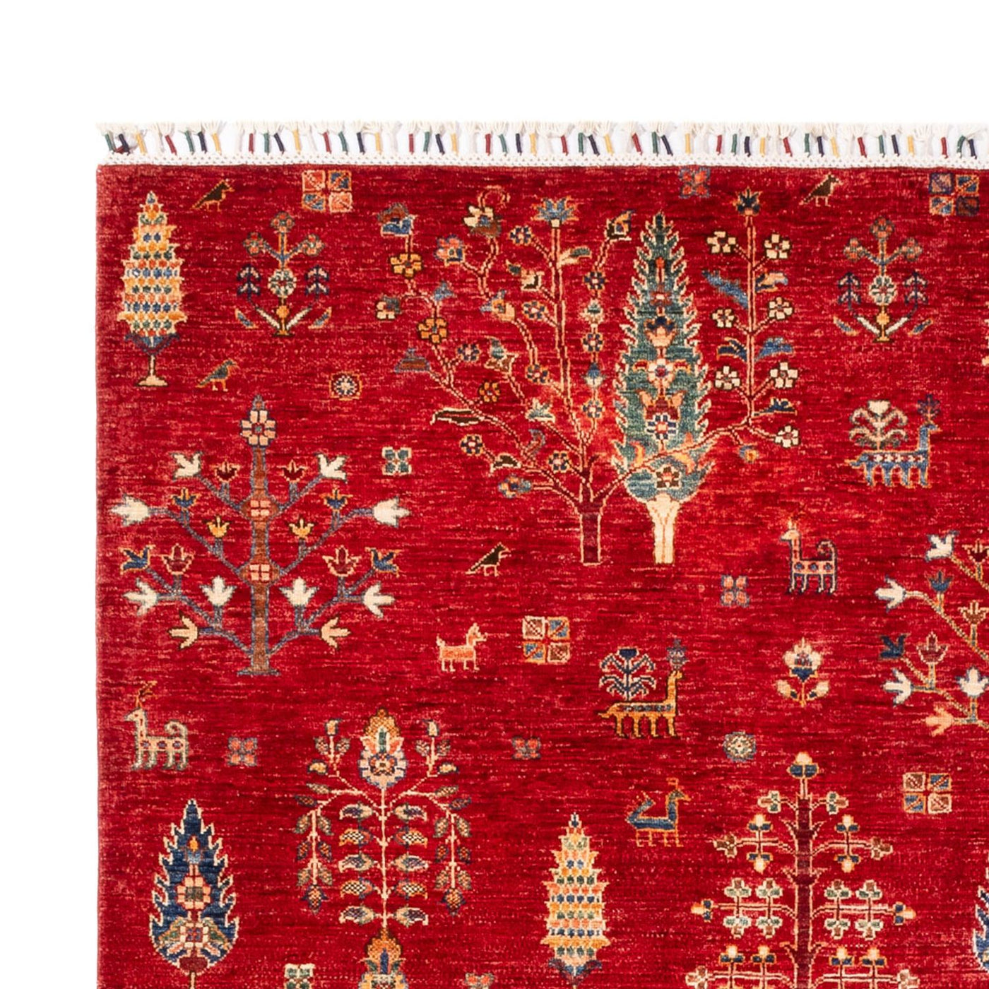 Ariana Mattan 300x206cm - Oriental Carpet