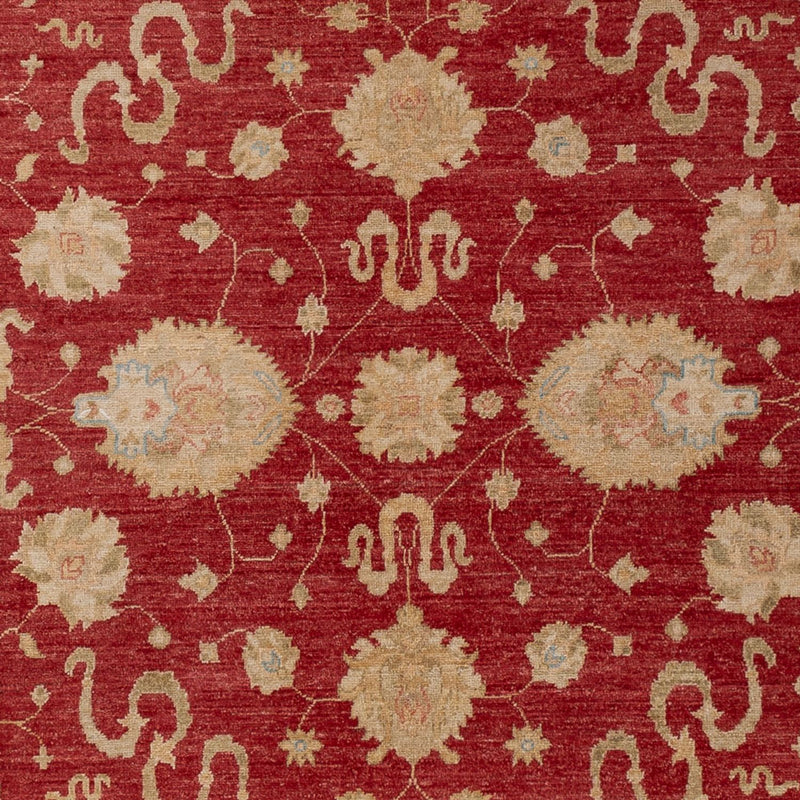 Ziegler Carpet - 297 x 203 cm - röd