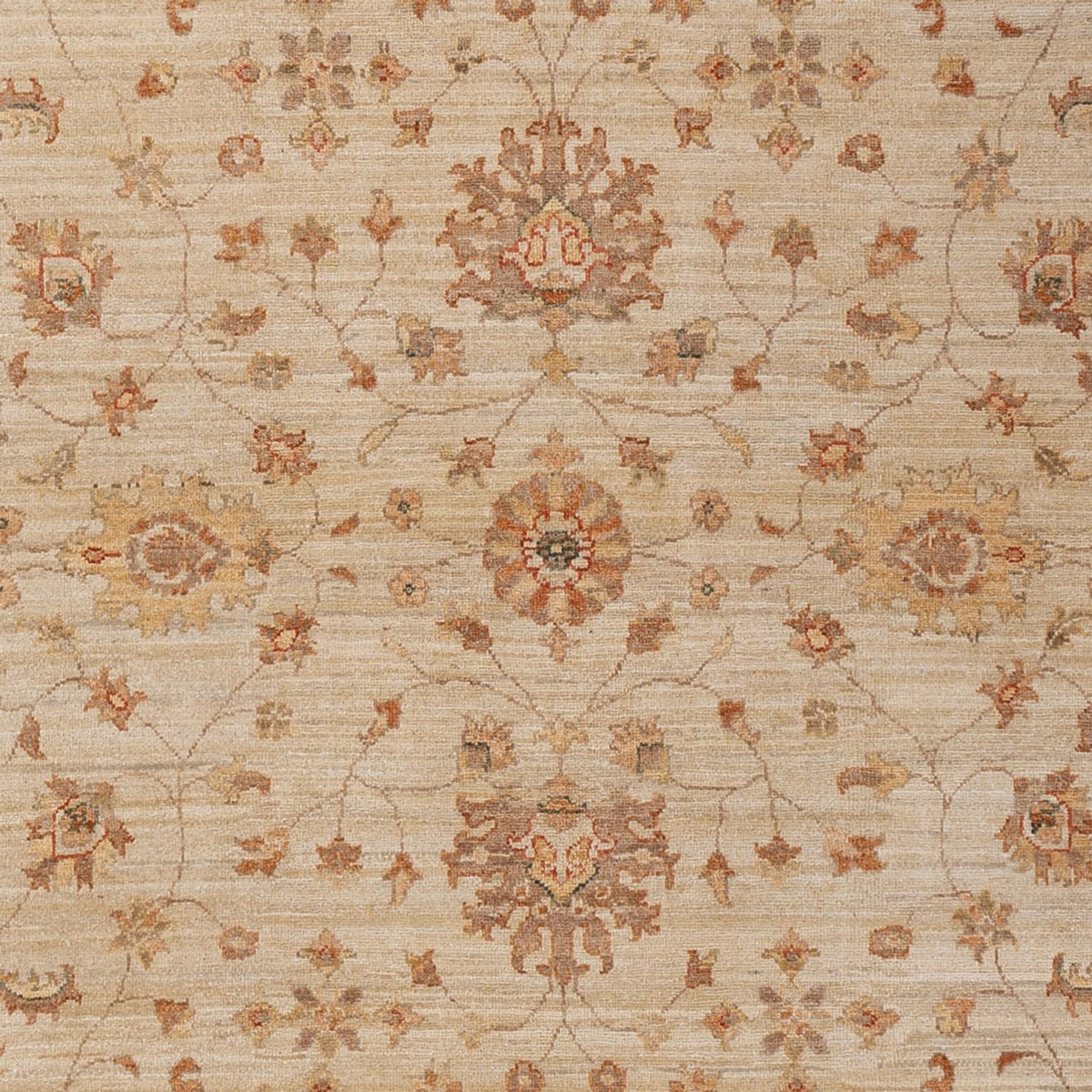 Ziegler Carpet - 306 x 205 cm - beige