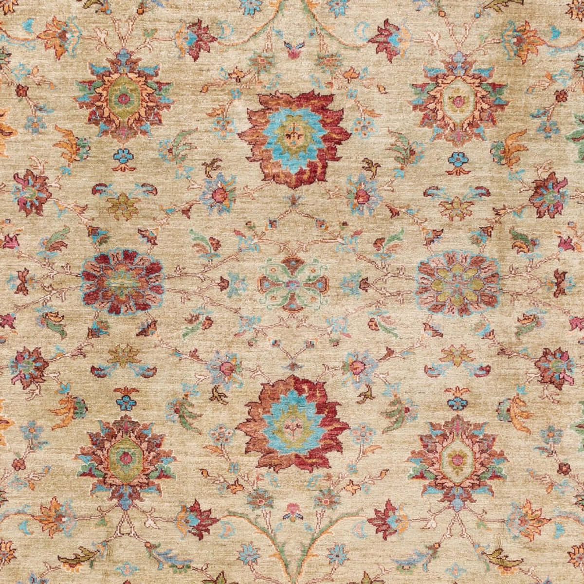 Ziegler Carpet - Ariana - 300 x 242 cm - beige