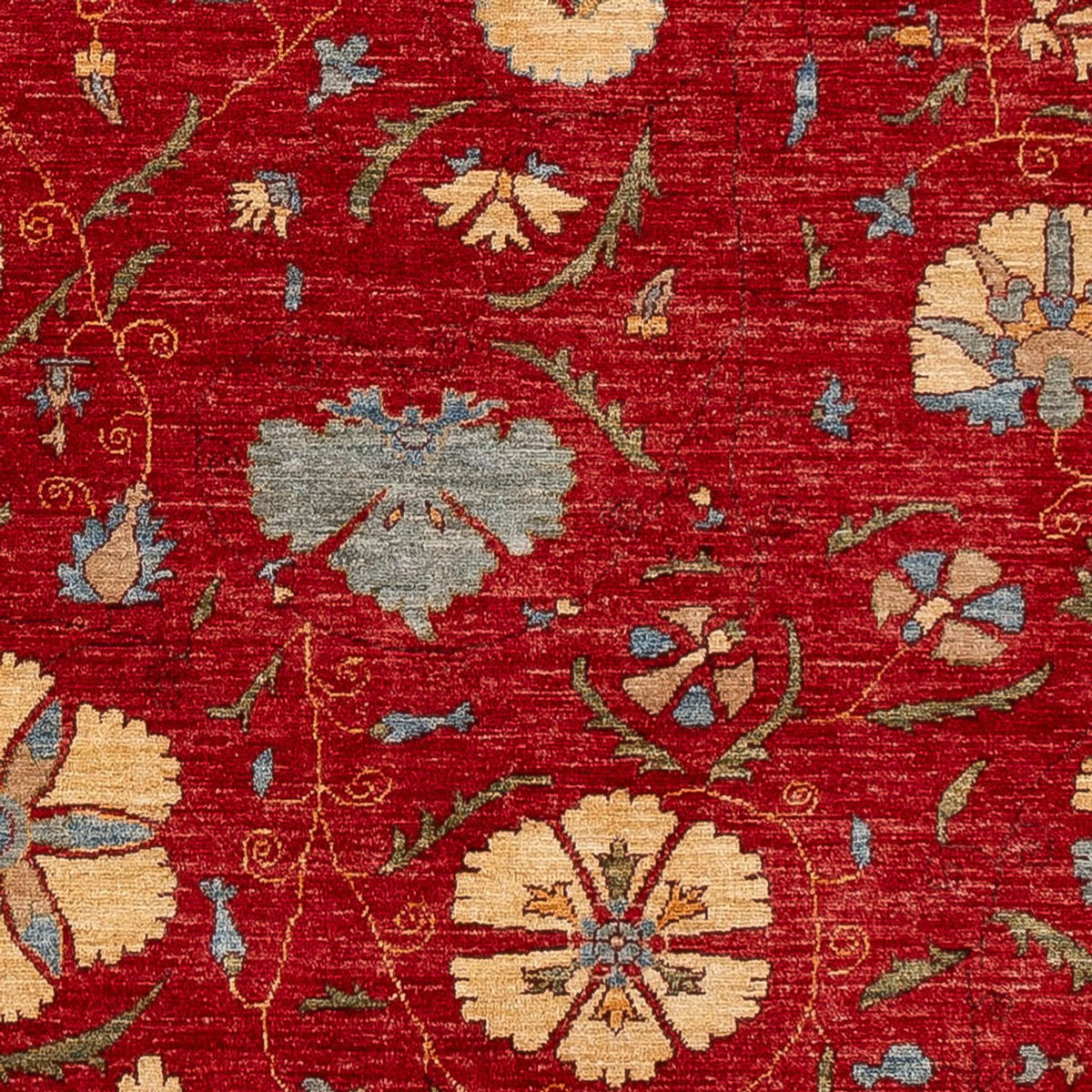 Ziegler Carpet - Ariana - 236 x 172 cm - röd