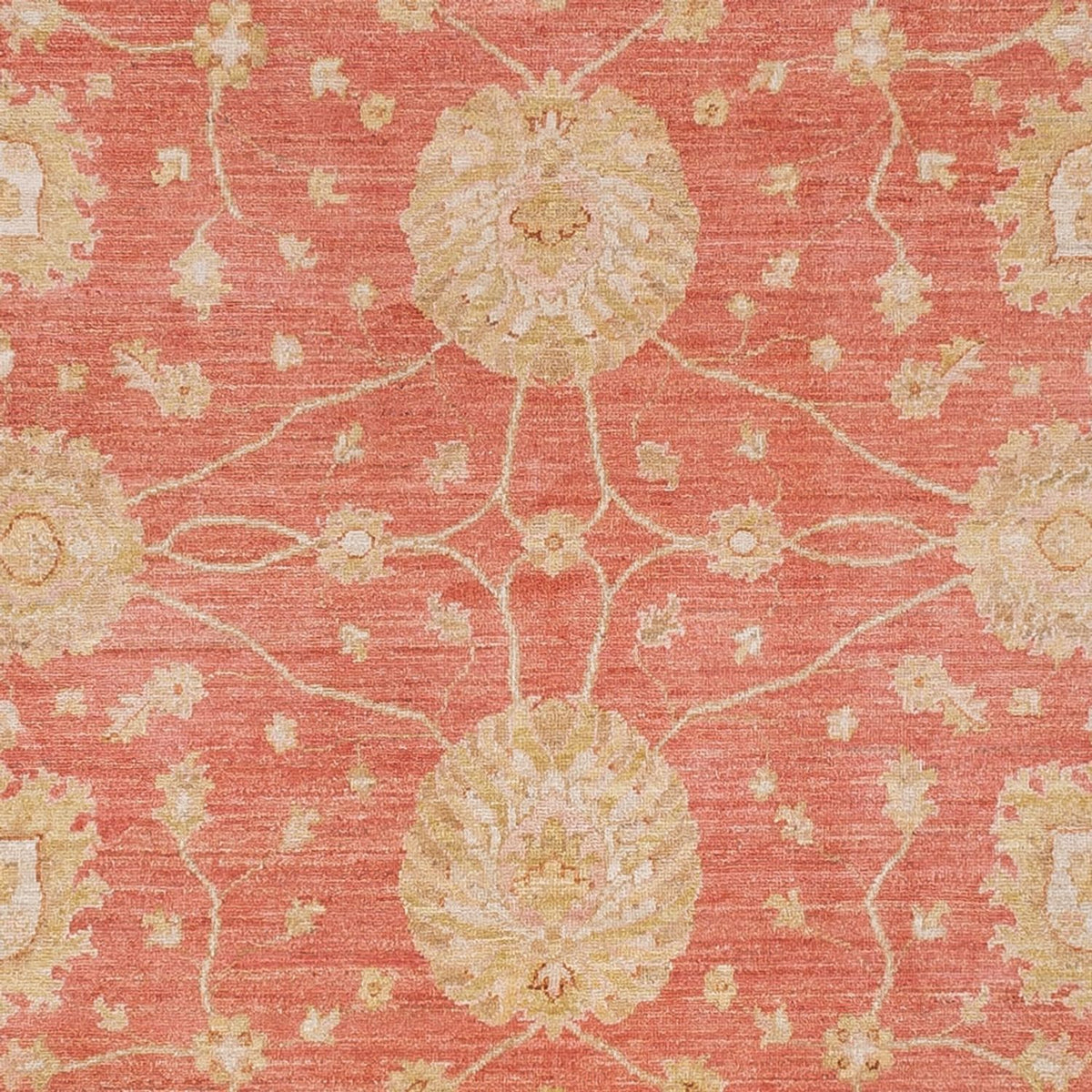 Ziegler Carpet - 296 x 254 cm - ljusröd