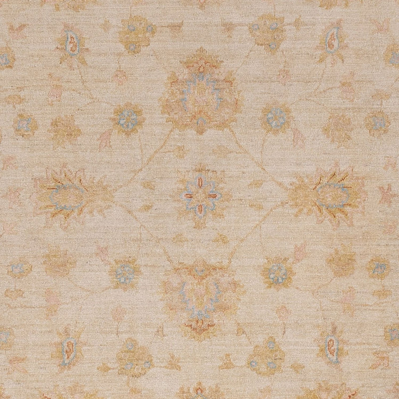 Ziegler Carpet - 297 x 257 cm - beige