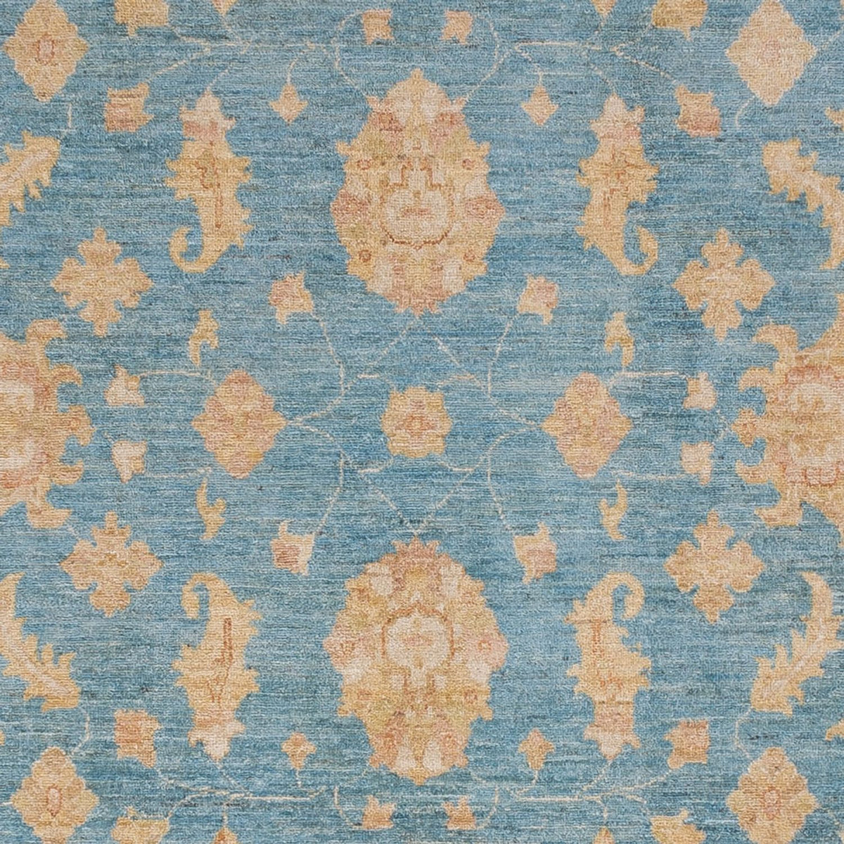 Ziegler Carpet - 300 x 251 cm - ljusblå