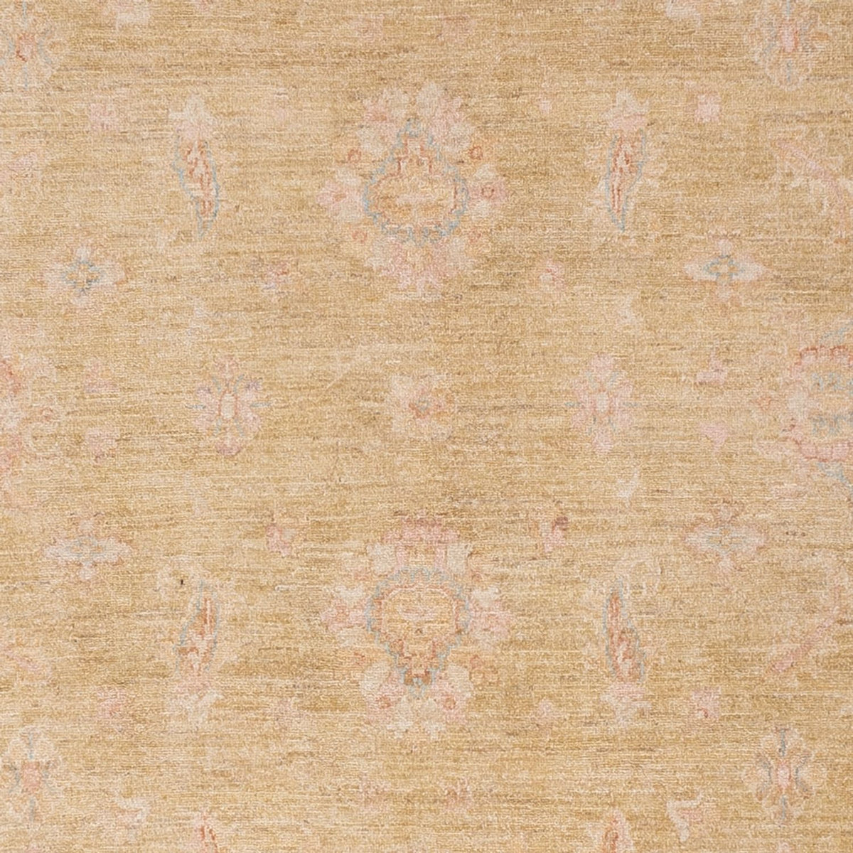 Ziegler Carpet - 293 x 251 cm - kamel
