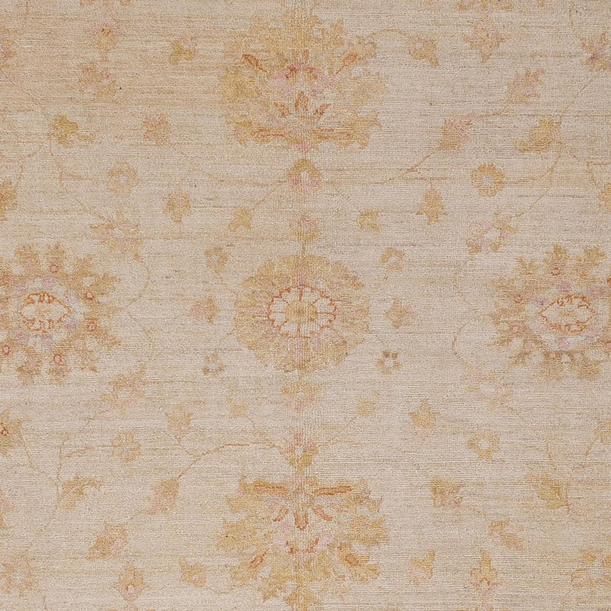 Ziegler Carpet - 300 x 248 cm - beige