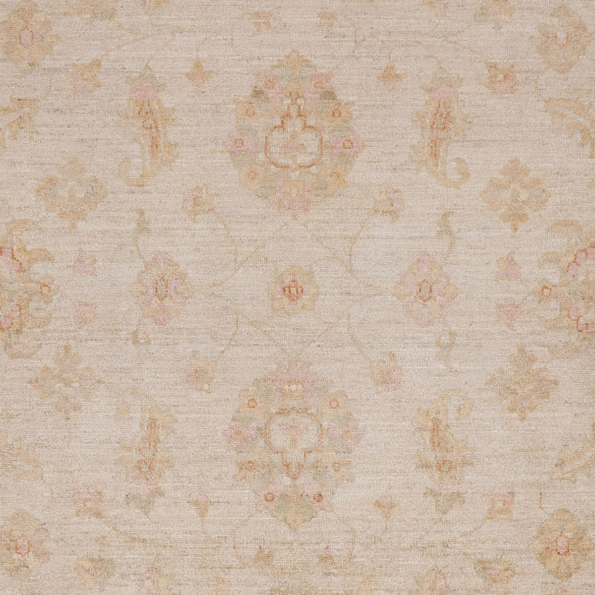 Ziegler Carpet - 298 x 255 cm - beige