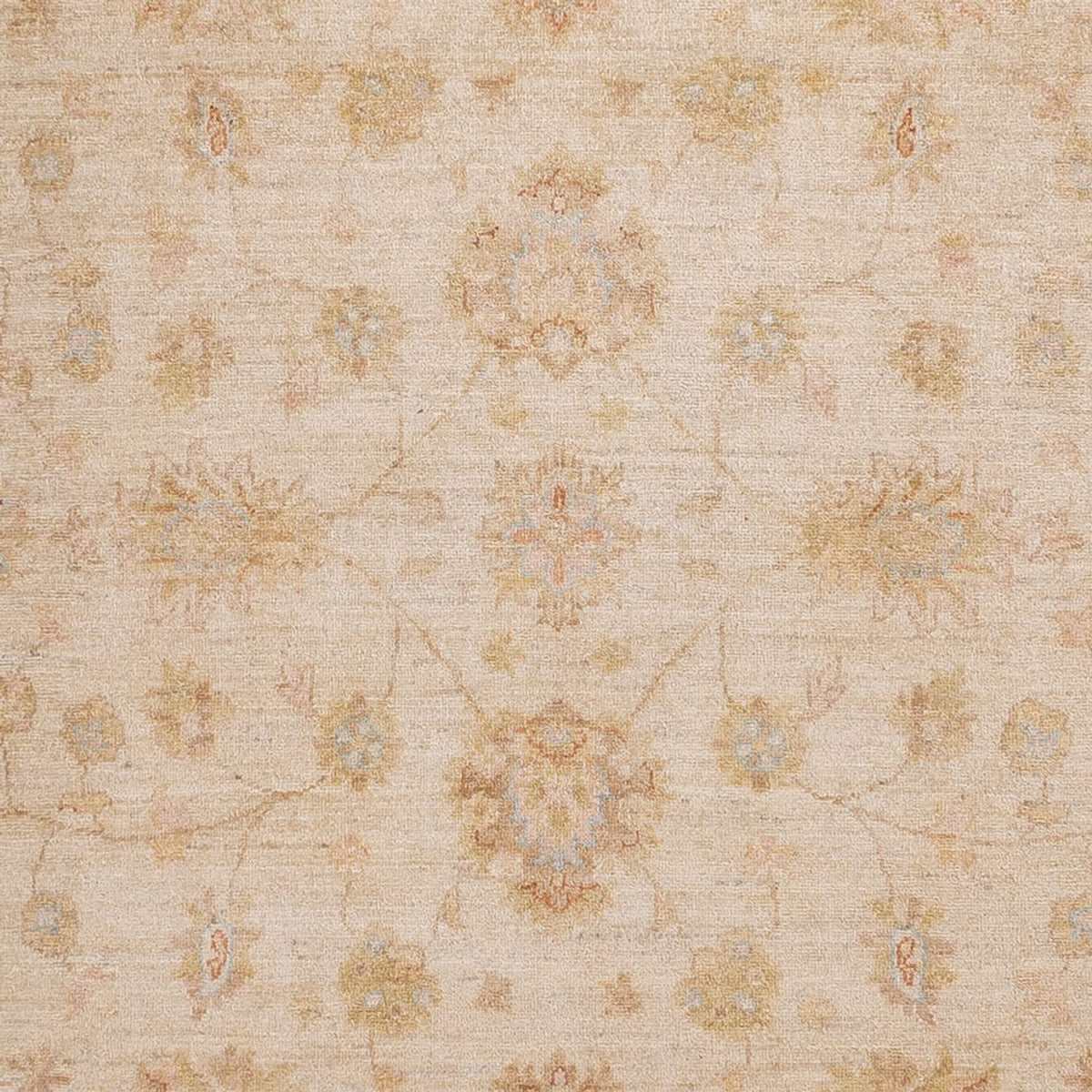 Ziegler Carpet - 301 x 257 cm - beige