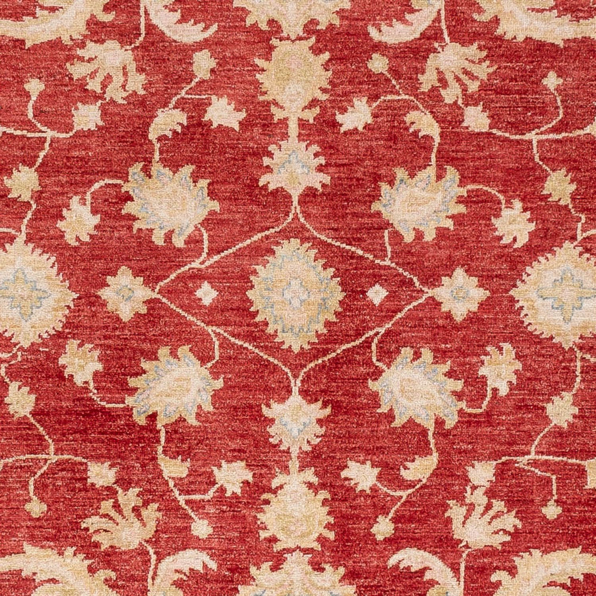 Ziegler Carpet - 294 x 253 cm - röd