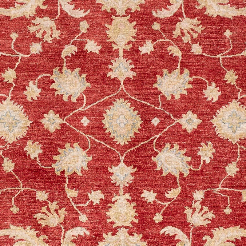 Ziegler Carpet - 294 x 253 cm - röd