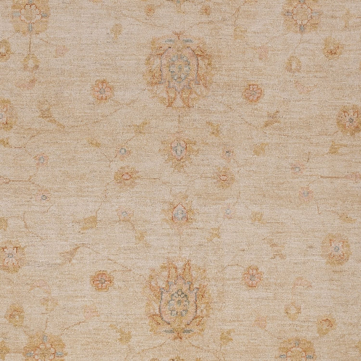 Ziegler Carpet - 298 x 258 cm - beige